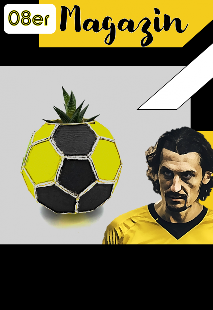 Neven Subotic: Sauberes Trinkwasser für alle! Im Sinne der Nachhaltigkeit im Fußball