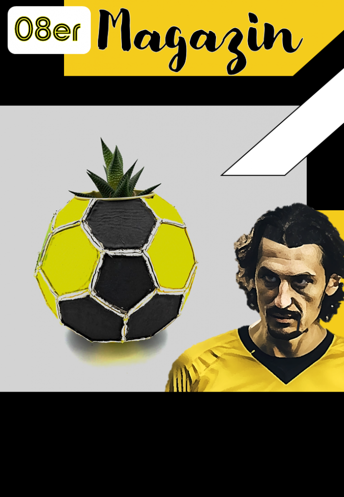 Neven Subotic: Sauberes Trinkwasser für alle! Im Sinne der Nachhaltigkeit im Fußball